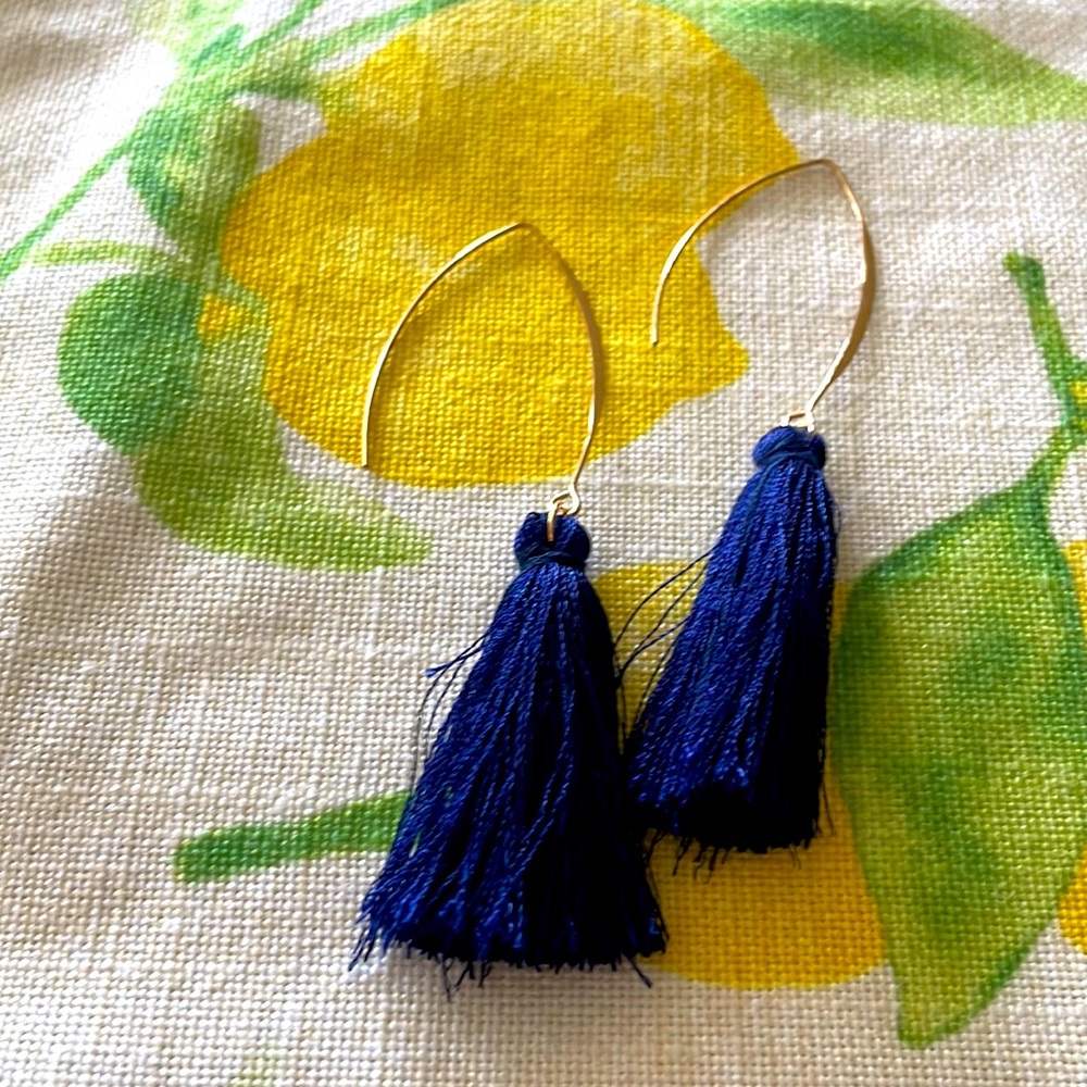 Navy tassel and gold earrings